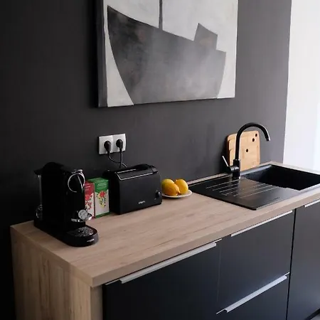 아파트 Luxury Old Town 풀라