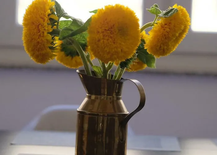 Luxury Old Town Póla